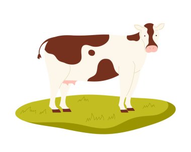 İzole edilmiş kahverengi ve beyaz Avusturya ineği tarım ve tarım vektörü çizimi için yeşil çimlerin üzerinde duruyor