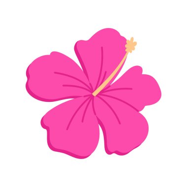 Beyaz arkaplanda izole edilmiş parlak pembe amber çiçeği Brezilya temalı tasarım vektör çizimi için mükemmel.