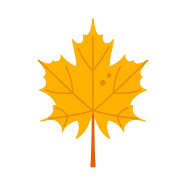 Beyaz arkaplanda izole edilmiş parlak sarı akçaağaç yaprağı, Kanada temaları vektör illüstrasyonu için mükemmel