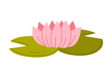 Minimalist izole edilmiş pembe nilüfer çiçeği ve beyaz arkaplan vektörü illüstrasyonunda yeşil zambak pedleri