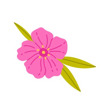 İzole edilmiş beyaz bir arka plan vektör illüstrasyonunda yeşil yapraklı parlak pembe Kıbrıs çiçeği