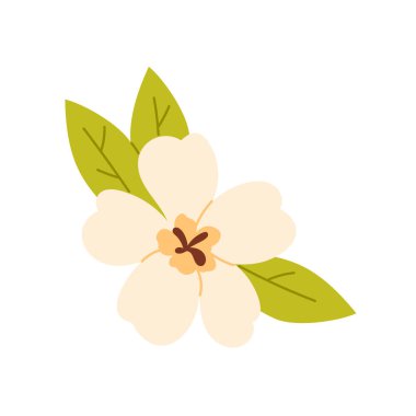 Yeşil yapraklı basit izole yasemin çiçeği beyaz arkaplan vektörü illüstrasyonunda Endonezya 'dan esinlenilmiştir