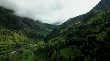 Andorra 'daki yemyeşil bir dağ vadisinin manzarası, sık ormanlarla kaplı ve puslu bulutlarla örtülü, doğa, seyahat ve macera için mükemmel arka planlar..