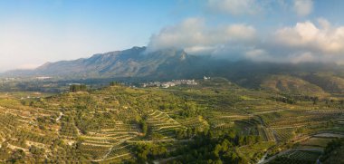 Güney İspanya 'daki teraslı zeytinliklerin ve kırsal arazinin çarpıcı panoramik fotoğrafı seyahat, tarım ve doğa kavramları için idealdir. Yazı işleri veya ticari kullanım için mükemmel.