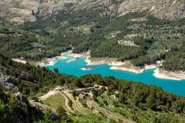Güney İspanya 'da yemyeşil üzüm bağları, çam ormanları ve dağlarla çevrili turkuaz bir rezervuarın çarpıcı hava fotoğrafı seyahat, doğa ve manzara için mükemmel..