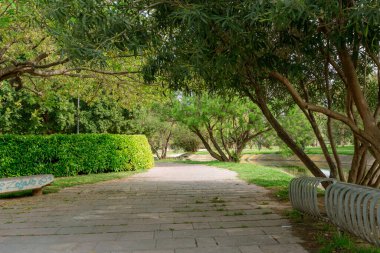 Serene Park geçidi canlı ağaçlar, çalılar ve banklarla çevrili, sakin bir şehir ortamında rahatlamak, yürümek ve doğanın tadını çıkarmak için ideal..