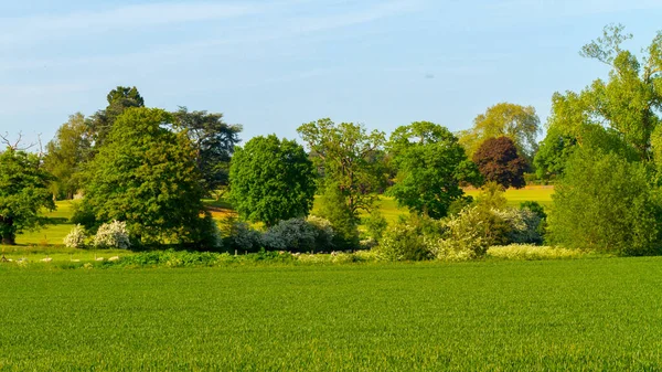 Весна Великій Британії Зелений Пейзаж — стокове фото