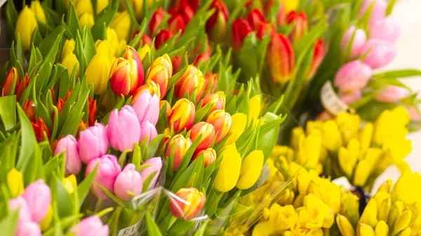 Bir çiçek standında, bir demet bahar çiçeği satılıktır lale ve nergisler gibi.