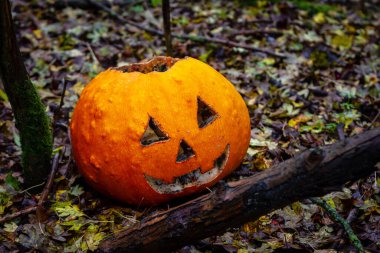 Siyah küflü parlak turuncu balkabağı bir ormana atılmış.