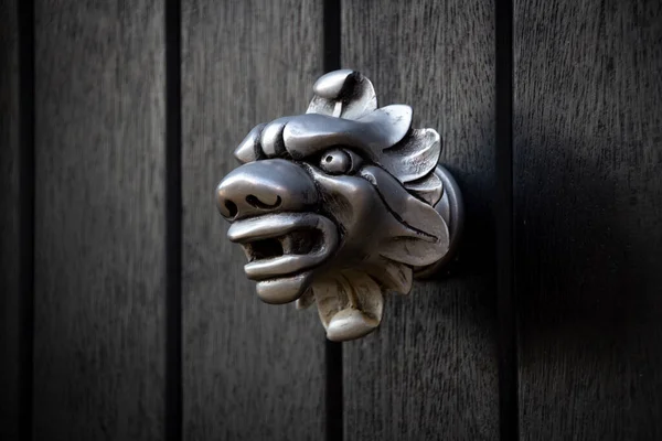 Снарк Дракон Великим Носом Дверна Ручка Або Ручка — стокове фото