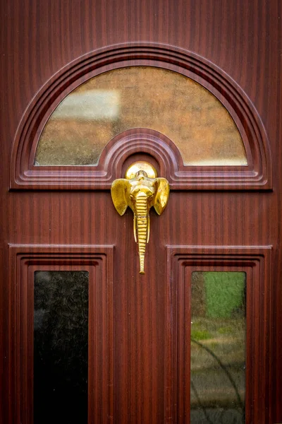 Frappe Porte Tête Éléphant Avec Long Tronc Sur Une Porte — Photo