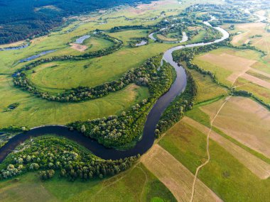 Tarlalar ve ormanlar arasındaki eğri bir nehrin havadan görünüşü