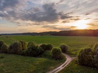 Gün batımı ve yol tarlaların arasındaki ormana gider.