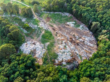 Şehrin yakınındaki ormandaki çöplükte. Gezegenimizin kirliliği sorunu.