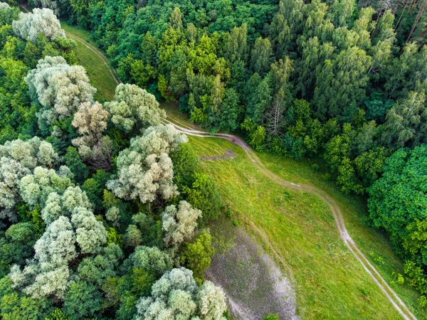 Little dusty path in the deep forest from aerial view