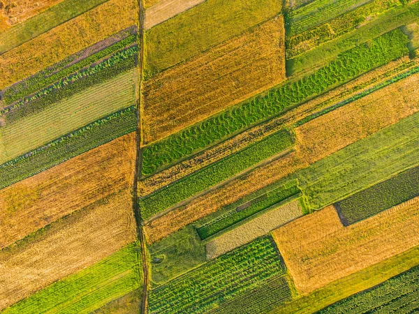 Wzorcowane Uprawy Kukurydzy Innych Upraw Pobliżu Miasta — Zdjęcie stockowe