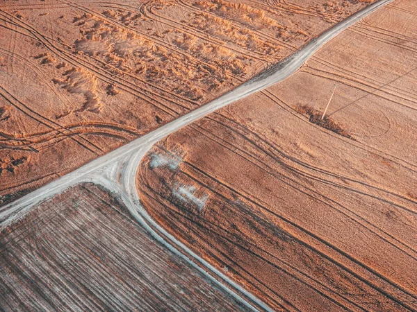 Campos Trigo Perto Estrada Empoeirada Para Aldeia — Fotografia de Stock