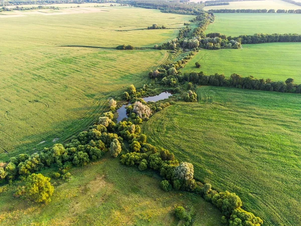 Campi Tra Confine Alberi Laghi Tra Loro — Foto Stock