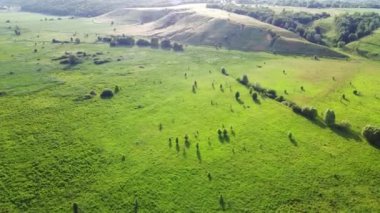 Ufukta tepe ve çember etrafında yalnız ağaçlar olan vahşi arazinin havadan görünüşü.