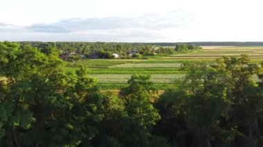 Kasabanın ve ormanın yakınındaki tarım arazilerinin havadan görünüşü