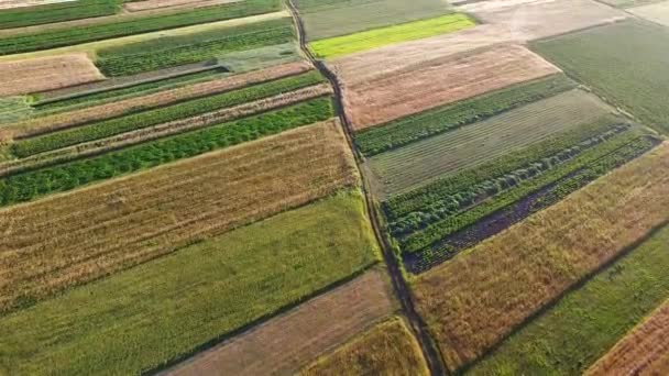 Vista Aérea Terras Agrícolas Perto Cidade Verão — Vídeo de Stock