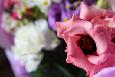 Güzel bir bahar çiçeği buketi. Çiçekçinin işi bu. Romantik bir kavram. Kapatın. Bahar bayrağı. Paskalya ve bahar tebrik kartı. Kadın günü konsepti. Metin için kopyalama alanı.