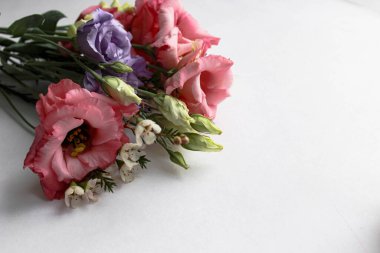 Güzel bir bahar çiçeği buketi. Çiçekçinin işi. Romantik bir kavram. Kapatın. Bahar bayrağı. Paskalya ve bahar tebrik kartı. Kadın günü konsepti. Metin için kopyalanma alanı. Sevgililer Günü