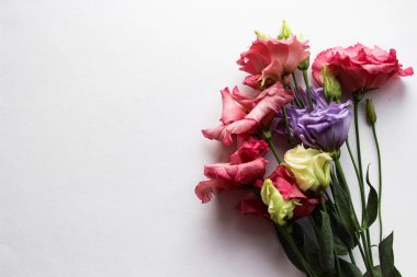 Güzel bir bahar çiçeği buketi. Çiçekçinin işi. Romantik bir kavram. Kapatın. Bahar bayrağı. Paskalya ve bahar tebrik kartı. Kadın günü konsepti. Metin için kopyalanma alanı. Sevgililer Günü