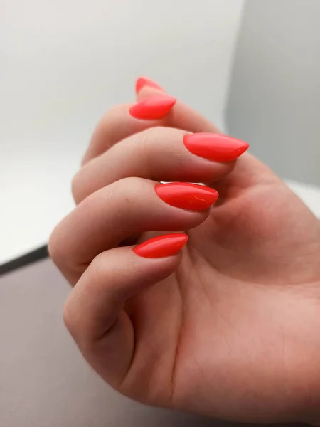 Female hands with red nail design. Manicure and Hands Spa. . Beauty treatment. Beautiful woman\'s nails with beautiful baby boomer manicure copy space for. Manicured nails and Soft hands skin . Closeup