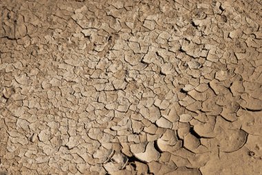 Küresel ısınma etkisinden dolayı kuru toprak çatlamış..