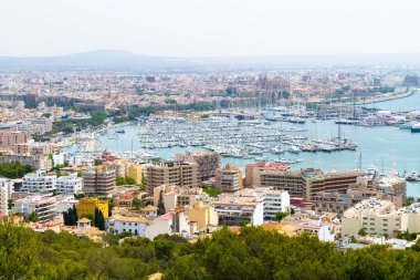 Palma Mallorca yat limanının panoramik ufuk çizgisi manzarası. Arka planda La Seu Katedrali görünüyor.