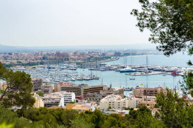 Palma Mallorca yat limanının panoramik ufuk çizgisi manzarası. Arka planda La Seu Katedrali görünüyor.