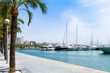 Palma de Mallorca Carrer Del Moll marinası yatlı gökyüzü