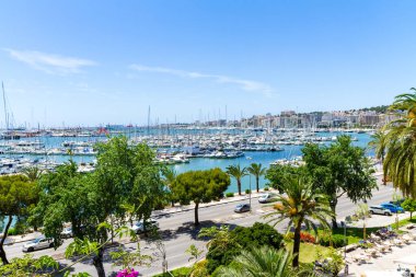Palma de Mallorca Carrer Del Moll marinası yatlı gökyüzü