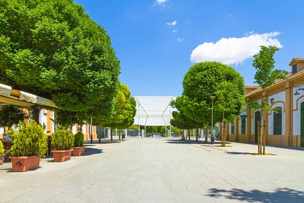 Palma Mallorca central Park of the Stations at Plaza Espanya, Spain. — Stock Photo, Image