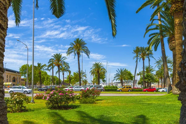 Palma de Mallorca famous marina Carrer Del Moll, and palm trees, Balears, Spain — Stockfoto