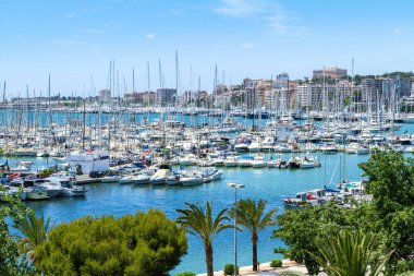 Palma de Mallorca Carrer Del Moll marinası yatlı gökyüzü