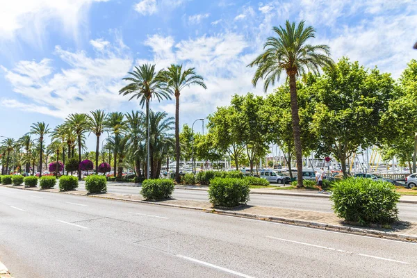 Palma de Mallorca famous marina Carrer Del Moll, and palm trees promenade. — Stock Photo, Image