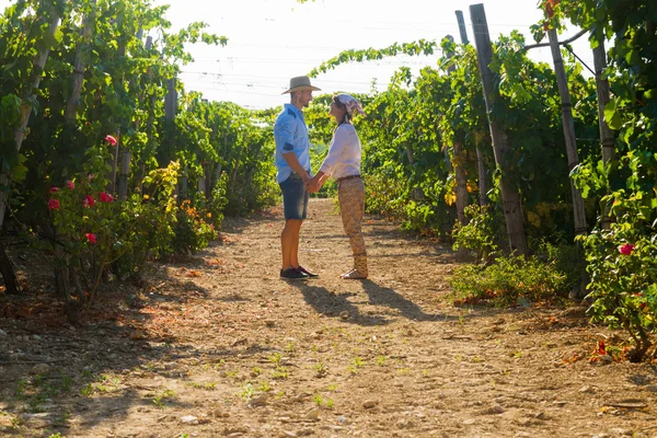 Young couple, vine growers, in the vineyard. — Stock Photo, Image