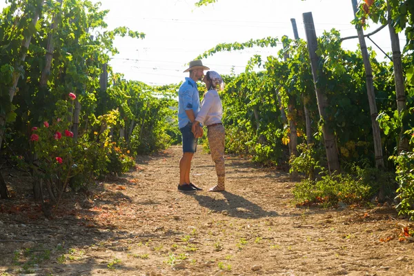 Young couple, vine growers, in the vineyard. — Stock Photo, Image