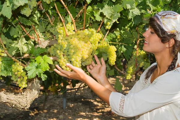 Mujer joven, viticultora, en la viña . — Foto de Stock