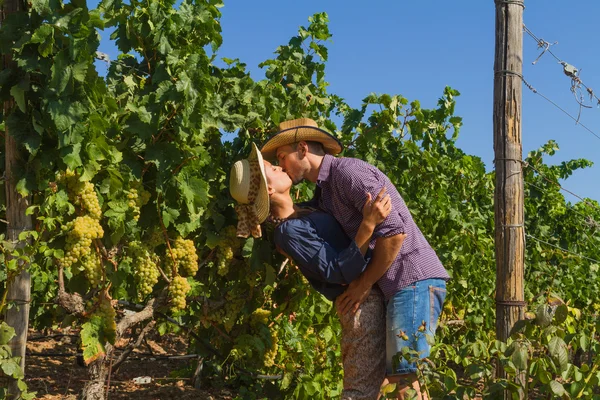 Pareja joven, viticultores, en el viñedo . — Foto de Stock