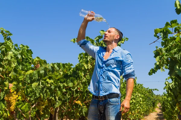 Calor exausto jovem agricultor esfriando-se na vinha . — Fotografia de Stock