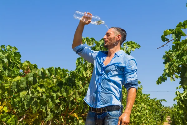 Heat exhausted young farmer cooling himself in vineyard. — Stock Photo, Image