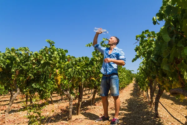 Heat exhausted young farmer cooling himself in vineyard. — Stock Photo, Image