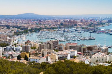 Palma de Mallorca limanı ve marinası. Palma de Mallorca, Balearic Adaları, İspanya 'nın panoramik hava manzaralı limanı ve marinası. Seyahat yeri konsepti