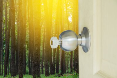 Orman kilitli kapıyı açmak