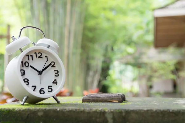 Despertador branco no jardim — Fotografia de Stock