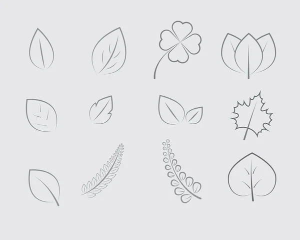 Leaf Line Design Vector — Stockový vektor