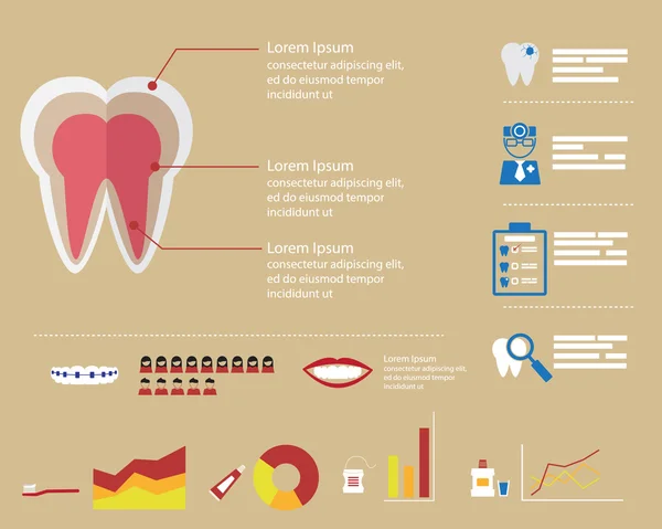 Antecedentes de la infografía dental — Vector de stock